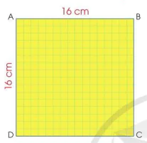 hinh-anh-bai-12-lam-chong-chong-10156-11