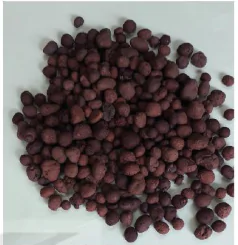 hinh-anh-bai-5-gia-the-trong-cay-13261-12