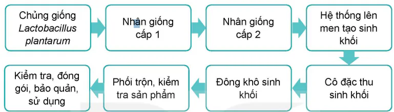 hinh-anh-bai-8-ung-dung-cong-nghe-sinh-hoc-trong-phong-benh-thuy-san-13986-10