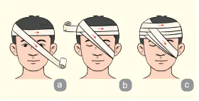 hinh-anh-kham-pha-13644-12