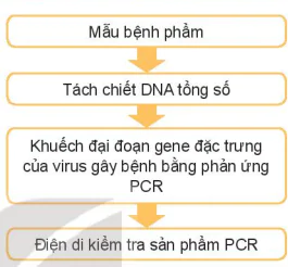 hinh-anh-bai-4-mot-so-ung-dung-pho-bien-cua-cong-nghe-sinh-hoc-trong-phong-tri-benh-cho-vat-nuoi-13789-11