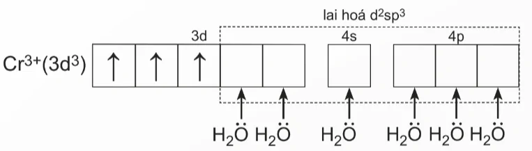 hinh-anh-bai-8-lien-ket-va-cau-tao-cua-phuc-chat-13929-8