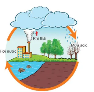 hinh-anh-bai-11-oxygen-khong-khi-7800-8