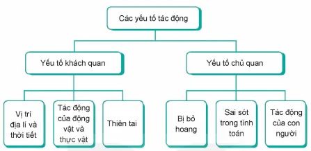 hinh-anh-bai-1-di-san-kien-truc-13067-13