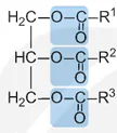 hinh-anh-bai-1-ester-lipid-13499-12