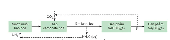 hinh-anh-bai-24-nguyen-to-nhom-ia-13721-11