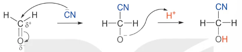 hinh-anh-bai-3-co-che-phan-ung-cong-13924-30