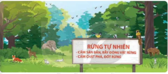 hinh-anh-bafi-30-vai-tro-cua-thuc-vat-trong-chuoi-thuc-an-8262-14