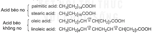 hinh-anh-bai-1-ester-lipid-13499-13