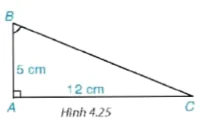 hinh-anh-bai-12-mot-so-he-thuc-giua-canh-goc-trong-tam-giac-vuong-va-ung-dung-7281-39