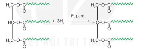 hinh-anh-bai-1-ester-lipid-13499-15