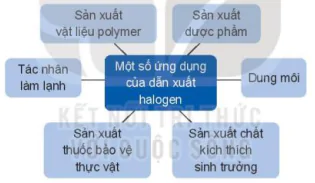 hinh-anh-bai-19-dan-xuat-halogen-13659-16