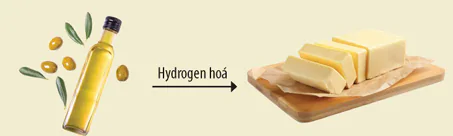 hinh-anh-bai-1-ester-lipid-13499-16