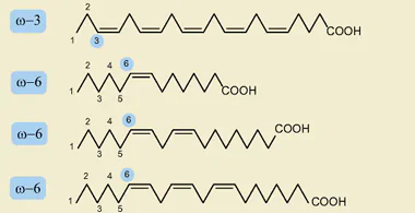 hinh-anh-bai-1-ester-lipid-13499-17