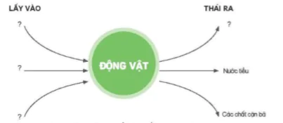 hinh-anh-bai-16-dong-vat-can-gi-de-song-8138-18