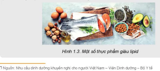 hinh-anh-bai-1-thanh-phan-dinh-duong-trong-thuc-pham-5717-2