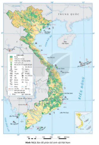 hinh-anh-bai-10-sinh-vat-viet-nam-6478-2