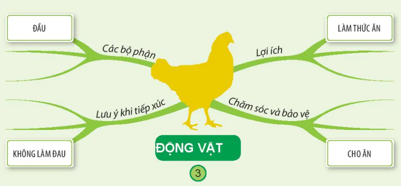 hinh-anh-bai-19-on-tap-chu-de-thuc-vat-va-dong-vat-6741-2