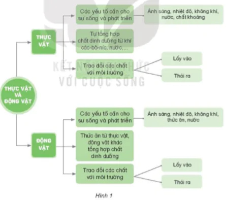 hinh-anh-bai-18-on-tap-chu-de-thuc-vat-va-dong-vat-8140-2