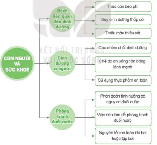 hinh-anh-bai-28-on-tap-chu-de-con-nguoi-va-suc-khoe-8260-2