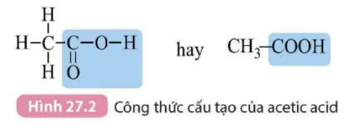 hinh-anh-bai-27-acetic-acid-9300-2