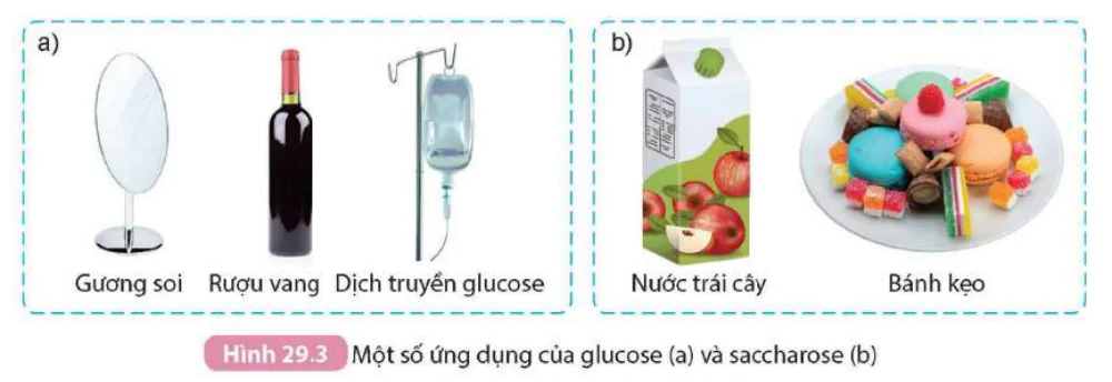 hinh-anh-bai-29-carbohydrate-glucose-va-saccharose-9309-6