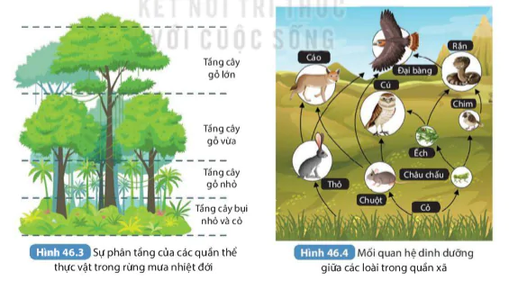 hinh-anh-bai-46-can-bang-tu-nhien-9436-5