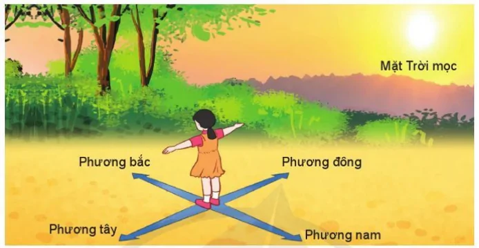 hinh-anh-bai-20-phuong-huong-9487-2