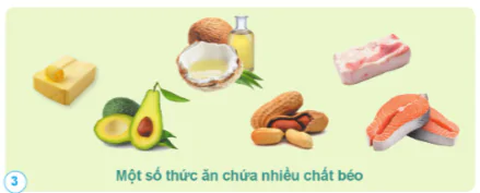 hinh-anh-bai-17-cac-chat-dinh-duong-can-thiet-cho-co-the-10866-2