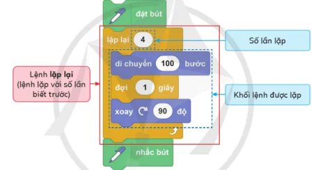 hinh-anh-bai-6-cau-truc-lap-voi-so-lan-biet-truoc-10927-2