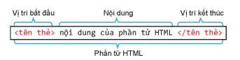 hinh-anh-bai-7-html-va-cau-truc-trang-web-12480-1