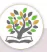 hinh-anh-doc-doi-muoi-12530-2