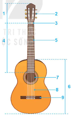 hinh-anh-bai-1-gioi-thieu-dan-guitar-va-ki-thuat-bam-gay-tren-day-5-day-4-12673-1