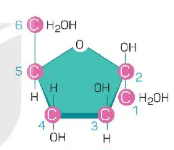 hinh-anh-bai-5-cac-phan-tu-sinh-hoc-12804-3