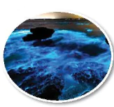 hinh-anh-bai-20-su-da-dang-va-phuong-phap-nghien-cuu-vi-sinh-vat-12862-2