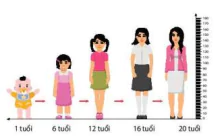 hinh-anh-bai-22-sinh-truong-va-phat-trien-o-dong-vat-12891-2