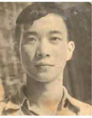 hinh-anh-doc-nho-dong-to-huu-13094-18