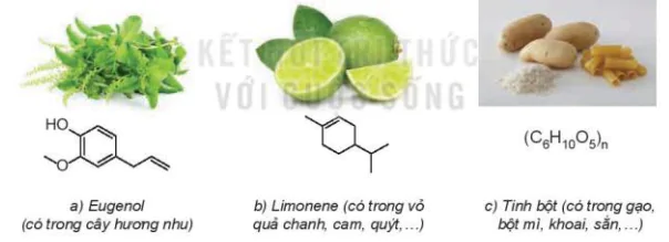 hinh-anh-bai-10-hop-chat-huu-co-va-hoa-hoc-huu-co-13467-0