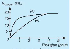 hinh-anh-bai-19-toc-do-phan-ung-13527-85