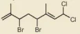 hinh-anh-bai-19-dan-xuat-halogen-13659-2