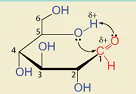 hinh-anh-bai-4-gioi-thieu-ve-carbohydrate-glucose-va-fructose-13502-3