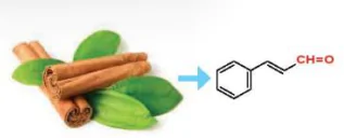 hinh-anh-bai-23-hop-chat-carbonyl-13666-2