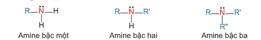 hinh-anh-bai-8-amine-13506-1