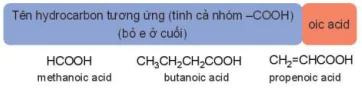 hinh-anh-bai-24-carboxylic-acid-13672-2