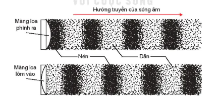 hinh-anh-bai-9-song-ngang-song-doc-su-truyen-nang-luong-cua-song-co-13673-2