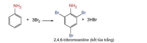hinh-anh-bai-8-amine-13506-10