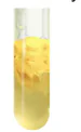 hinh-anh-bai-10-protein-va-enzyme-13507-1
