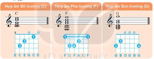 hinh-anh-bai-1-hop-am-ba-cac-hop-am-ba-chinh-trong-dieu-truong-va-dieu-thu-13290-2