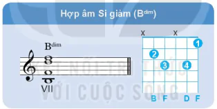 hinh-anh-bai-2-cac-hop-am-ba-phu-trong-dieu-truong-va-dieu-thu-13292-2