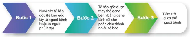 hinh-anh-bai-3-cong-nghe-te-bao-dong-vat-va-thanh-tuu-13224-2